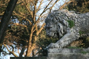 Lions des arts